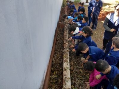 PHOTO-2018-08-29-20-12-55