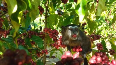 WhatsApp-Image-2018-06-28-at-13.45.14