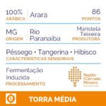 309 - Arara Fermentado (Nanolote) - Imagem 2